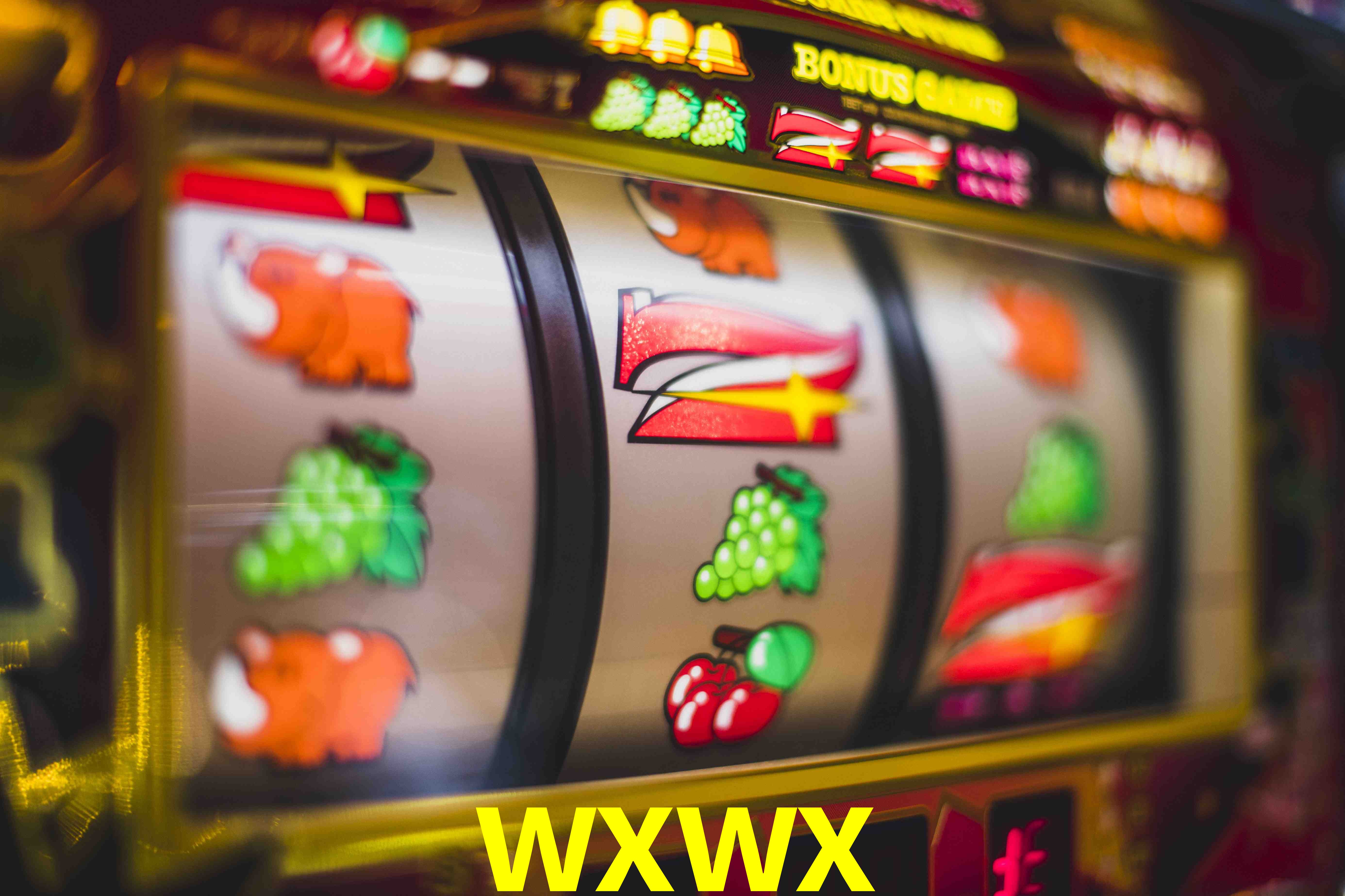 Tennis Betting wxwx